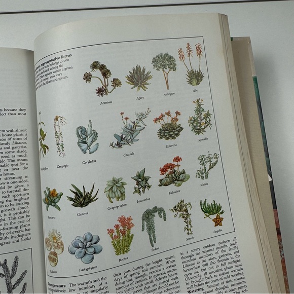 Reader’s Digest: Success with House Plants (1979) - Picture 4 of 7